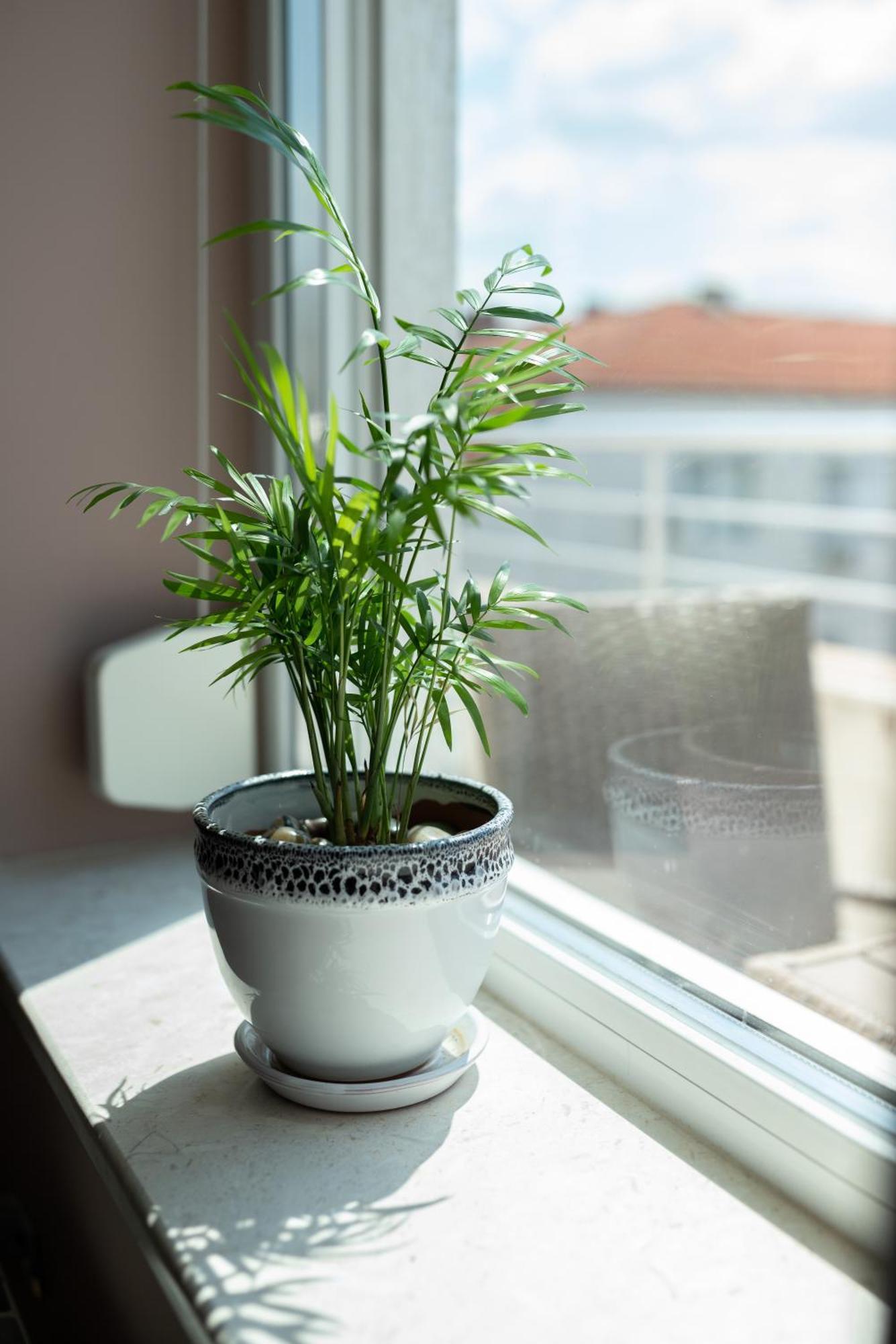 Mdm Apartment City Center Ruse Bagian luar foto